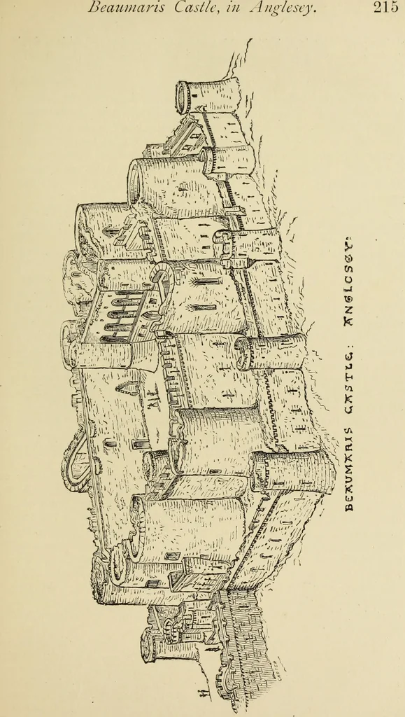 An illustration from Mediæval military architecture in England, 1884, leaf 230