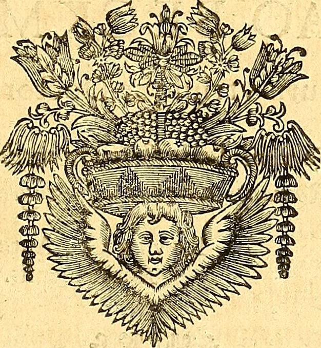 An illustration from Medulla Iustinianea,, sive, Dilucida totius juris civilis, juxta Digestorum methodum explicatio, : ubi quàm brevissimè fieri potuit, accuratissimæ definitiones, plenissimæ divisiones, adæquatæ cuilibet materiæ causæ, solidissima totius juris civilis principia, cùm ex ipso juris fonte, tùm ex optimis hujus seculi authoribus summâ cum lucubratione collecta: actiones tam reales, quàm personales, cui, adversus quem, & ad quid competant, jus vetus, novum, & novissimum, addito jure canonico, feudali, & recessibus imperij, quoties à jure nostro Romano recedunt; nobilissimæ & utilissimæ in omni jure occurrentes quæstiones (si non explicitè semper, implicitè tamen h[oc]. e[st]. ut ex dictis erui & resolvi queant) omissis reliquis haud ita necessariis, ne in immensum excrescat opus, perspicuè proponuntur & resolvuntur., 1666, leaf 10