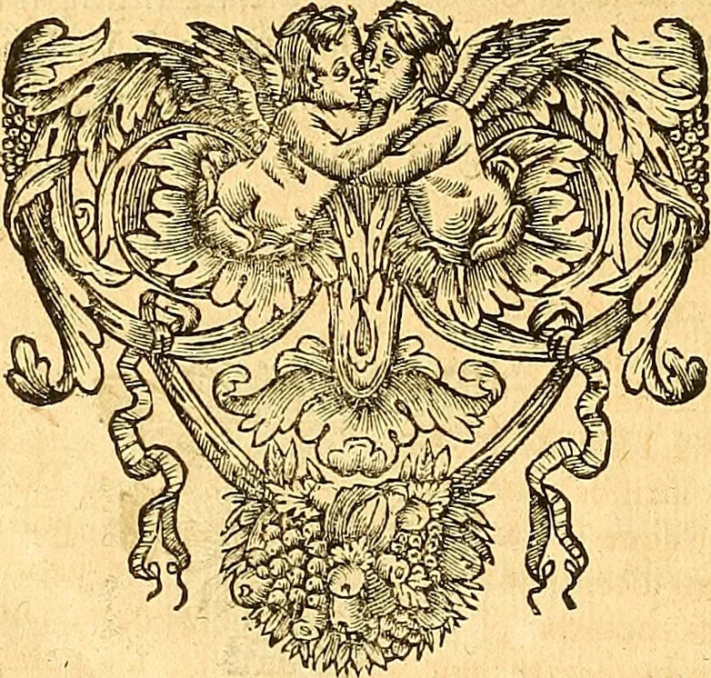 An illustration from Medulla Iustinianea,, sive, Dilucida totius juris civilis, juxta Digestorum methodum explicatio, : ubi quàm brevissimè fieri potuit, accuratissimæ definitiones, plenissimæ divisiones, adæquatæ cuilibet materiæ causæ, solidissima totius juris civilis principia, cùm ex ipso juris fonte, tùm ex optimis hujus seculi authoribus summâ cum lucubratione collecta: actiones tam reales, quàm personales, cui, adversus quem, & ad quid competant, jus vetus, novum, & novissimum, addito jure canonico, feudali, & recessibus imperij, quoties à jure nostro Romano recedunt; nobilissimæ & utilissimæ in omni jure occurrentes quæstiones (si non explicitè semper, implicitè tamen h[oc]. e[st]. ut ex dictis erui & resolvi queant) omissis reliquis haud ita necessariis, ne in immensum excrescat opus, perspicuè proponuntur & resolvuntur., 1666, leaf 1015
