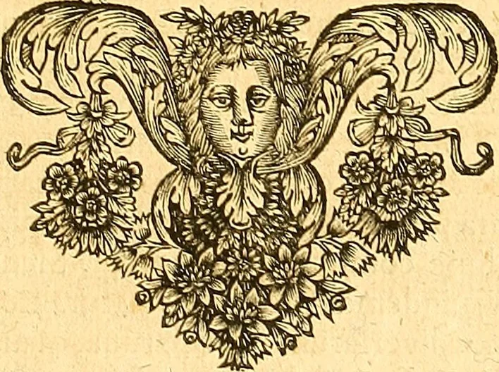 An illustration from Medulla Iustinianea,, sive, Dilucida totius juris civilis, juxta Digestorum methodum explicatio, : ubi quàm brevissimè fieri potuit, accuratissimæ definitiones, plenissimæ divisiones, adæquatæ cuilibet materiæ causæ, solidissima totius juris civilis principia, cùm ex ipso juris fonte, tùm ex optimis hujus seculi authoribus summâ cum lucubratione collecta: actiones tam reales, quàm personales, cui, adversus quem, & ad quid competant, jus vetus, novum, & novissimum, addito jure canonico, feudali, & recessibus imperij, quoties à jure nostro Romano recedunt; nobilissimæ & utilissimæ in omni jure occurrentes quæstiones (si non explicitè semper, implicitè tamen h[oc]. e[st]. ut ex dictis erui & resolvi queant) omissis reliquis haud ita necessariis, ne in immensum excrescat opus, perspicuè proponuntur & resolvuntur., 1666, leaf 18
