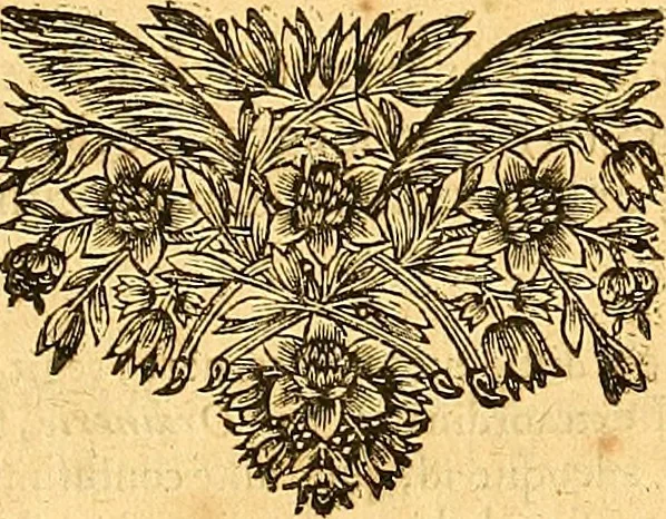 An illustration from Medulla Iustinianea,, sive, Dilucida totius juris civilis, juxta Digestorum methodum explicatio, : ubi quàm brevissimè fieri potuit, accuratissimæ definitiones, plenissimæ divisiones, adæquatæ cuilibet materiæ causæ, solidissima totius juris civilis principia, cùm ex ipso juris fonte, tùm ex optimis hujus seculi authoribus summâ cum lucubratione collecta: actiones tam reales, quàm personales, cui, adversus quem, & ad quid competant, jus vetus, novum, & novissimum, addito jure canonico, feudali, & recessibus imperij, quoties à jure nostro Romano recedunt; nobilissimæ & utilissimæ in omni jure occurrentes quæstiones (si non explicitè semper, implicitè tamen h[oc]. e[st]. ut ex dictis erui & resolvi queant) omissis reliquis haud ita necessariis, ne in immensum excrescat opus, perspicuè proponuntur & resolvuntur., 1666, leaf 316