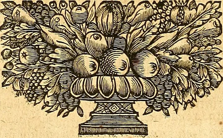 An illustration from Medulla Iustinianea,, sive, Dilucida totius juris civilis, juxta Digestorum methodum explicatio, : ubi quàm brevissimè fieri potuit, accuratissimæ definitiones, plenissimæ divisiones, adæquatæ cuilibet materiæ causæ, solidissima totius juris civilis principia, cùm ex ipso juris fonte, tùm ex optimis hujus seculi authoribus summâ cum lucubratione collecta: actiones tam reales, quàm personales, cui, adversus quem, & ad quid competant, jus vetus, novum, & novissimum, addito jure canonico, feudali, & recessibus imperij, quoties à jure nostro Romano recedunt; nobilissimæ & utilissimæ in omni jure occurrentes quæstiones (si non explicitè semper, implicitè tamen h[oc]. e[st]. ut ex dictis erui & resolvi queant) omissis reliquis haud ita necessariis, ne in immensum excrescat opus, perspicuè proponuntur & resolvuntur., 1666, leaf 461