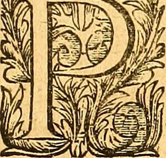 An illustration from Medulla Iustinianea,, sive, Dilucida totius juris civilis, juxta Digestorum methodum explicatio, : ubi quàm brevissimè fieri potuit, accuratissimæ definitiones, plenissimæ divisiones, adæquatæ cuilibet materiæ causæ, solidissima totius juris civilis principia, cùm ex ipso juris fonte, tùm ex optimis hujus seculi authoribus summâ cum lucubratione collecta: actiones tam reales, quàm personales, cui, adversus quem, & ad quid competant, jus vetus, novum, & novissimum, addito jure canonico, feudali, & recessibus imperij, quoties à jure nostro Romano recedunt; nobilissimæ & utilissimæ in omni jure occurrentes quæstiones (si non explicitè semper, implicitè tamen h[oc]. e[st]. ut ex dictis erui & resolvi queant) omissis reliquis haud ita necessariis, ne in immensum excrescat opus, perspicuè proponuntur & resolvuntur., 1666, leaf 502