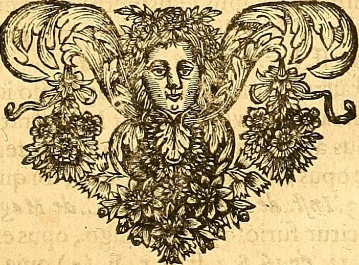 An illustration from Medulla Iustinianea,, sive, Dilucida totius juris civilis, juxta Digestorum methodum explicatio, : ubi quàm brevissimè fieri potuit, accuratissimæ definitiones, plenissimæ divisiones, adæquatæ cuilibet materiæ causæ, solidissima totius juris civilis principia, cùm ex ipso juris fonte, tùm ex optimis hujus seculi authoribus summâ cum lucubratione collecta: actiones tam reales, quàm personales, cui, adversus quem, & ad quid competant, jus vetus, novum, & novissimum, addito jure canonico, feudali, & recessibus imperij, quoties à jure nostro Romano recedunt; nobilissimæ & utilissimæ in omni jure occurrentes quæstiones (si non explicitè semper, implicitè tamen h[oc]. e[st]. ut ex dictis erui & resolvi queant) omissis reliquis haud ita necessariis, ne in immensum excrescat opus, perspicuè proponuntur & resolvuntur., 1666, leaf 608