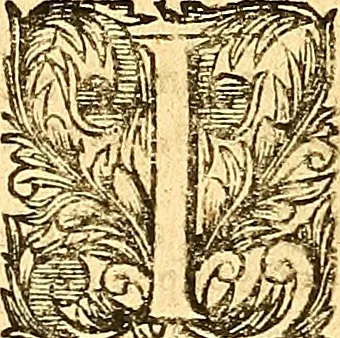 An illustration from Medulla Iustinianea,, sive, Dilucida totius juris civilis, juxta Digestorum methodum explicatio, : ubi quàm brevissimè fieri potuit, accuratissimæ definitiones, plenissimæ divisiones, adæquatæ cuilibet materiæ causæ, solidissima totius juris civilis principia, cùm ex ipso juris fonte, tùm ex optimis hujus seculi authoribus summâ cum lucubratione collecta: actiones tam reales, quàm personales, cui, adversus quem, & ad quid competant, jus vetus, novum, & novissimum, addito jure canonico, feudali, & recessibus imperij, quoties à jure nostro Romano recedunt; nobilissimæ & utilissimæ in omni jure occurrentes quæstiones (si non explicitè semper, implicitè tamen h[oc]. e[st]. ut ex dictis erui & resolvi queant) omissis reliquis haud ita necessariis, ne in immensum excrescat opus, perspicuè proponuntur & resolvuntur., 1666, leaf 609