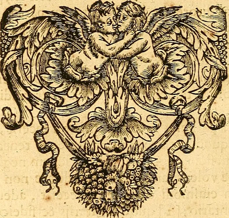 An illustration from Medulla Iustinianea,, sive, Dilucida totius juris civilis, juxta Digestorum methodum explicatio, : ubi quàm brevissimè fieri potuit, accuratissimæ definitiones, plenissimæ divisiones, adæquatæ cuilibet materiæ causæ, solidissima totius juris civilis principia, cùm ex ipso juris fonte, tùm ex optimis hujus seculi authoribus summâ cum lucubratione collecta: actiones tam reales, quàm personales, cui, adversus quem, & ad quid competant, jus vetus, novum, & novissimum, addito jure canonico, feudali, & recessibus imperij, quoties à jure nostro Romano recedunt; nobilissimæ & utilissimæ in omni jure occurrentes quæstiones (si non explicitè semper, implicitè tamen h[oc]. e[st]. ut ex dictis erui & resolvi queant) omissis reliquis haud ita necessariis, ne in immensum excrescat opus, perspicuè proponuntur & resolvuntur., 1666, leaf 635