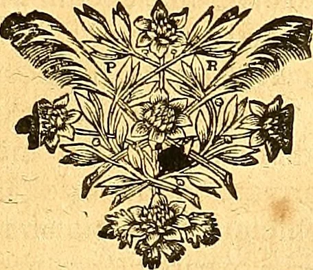 An illustration from Medulla Iustinianea,, sive, Dilucida totius juris civilis, juxta Digestorum methodum explicatio, : ubi quàm brevissimè fieri potuit, accuratissimæ definitiones, plenissimæ divisiones, adæquatæ cuilibet materiæ causæ, solidissima totius juris civilis principia, cùm ex ipso juris fonte, tùm ex optimis hujus seculi authoribus summâ cum lucubratione collecta: actiones tam reales, quàm personales, cui, adversus quem, & ad quid competant, jus vetus, novum, & novissimum, addito jure canonico, feudali, & recessibus imperij, quoties à jure nostro Romano recedunt; nobilissimæ & utilissimæ in omni jure occurrentes quæstiones (si non explicitè semper, implicitè tamen h[oc]. e[st]. ut ex dictis erui & resolvi queant) omissis reliquis haud ita necessariis, ne in immensum excrescat opus, perspicuè proponuntur & resolvuntur., 1666, leaf 690