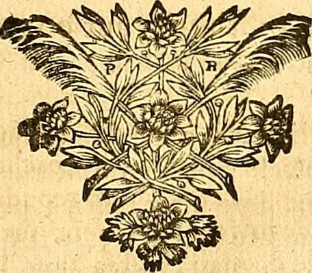 An illustration from Medulla Iustinianea,, sive, Dilucida totius juris civilis, juxta Digestorum methodum explicatio, : ubi quàm brevissimè fieri potuit, accuratissimæ definitiones, plenissimæ divisiones, adæquatæ cuilibet materiæ causæ, solidissima totius juris civilis principia, cùm ex ipso juris fonte, tùm ex optimis hujus seculi authoribus summâ cum lucubratione collecta: actiones tam reales, quàm personales, cui, adversus quem, & ad quid competant, jus vetus, novum, & novissimum, addito jure canonico, feudali, & recessibus imperij, quoties à jure nostro Romano recedunt; nobilissimæ & utilissimæ in omni jure occurrentes quæstiones (si non explicitè semper, implicitè tamen h[oc]. e[st]. ut ex dictis erui & resolvi queant) omissis reliquis haud ita necessariis, ne in immensum excrescat opus, perspicuè proponuntur & resolvuntur., 1666, leaf 734