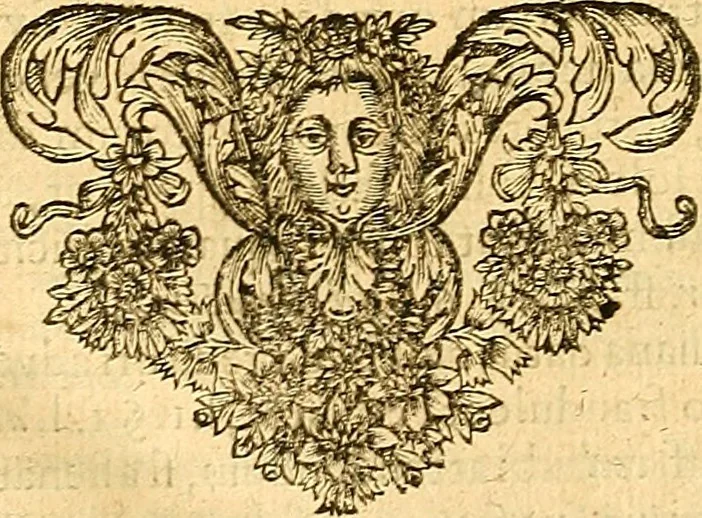 An illustration from Medulla Iustinianea,, sive, Dilucida totius juris civilis, juxta Digestorum methodum explicatio, : ubi quàm brevissimè fieri potuit, accuratissimæ definitiones, plenissimæ divisiones, adæquatæ cuilibet materiæ causæ, solidissima totius juris civilis principia, cùm ex ipso juris fonte, tùm ex optimis hujus seculi authoribus summâ cum lucubratione collecta: actiones tam reales, quàm personales, cui, adversus quem, & ad quid competant, jus vetus, novum, & novissimum, addito jure canonico, feudali, & recessibus imperij, quoties à jure nostro Romano recedunt; nobilissimæ & utilissimæ in omni jure occurrentes quæstiones (si non explicitè semper, implicitè tamen h[oc]. e[st]. ut ex dictis erui & resolvi queant) omissis reliquis haud ita necessariis, ne in immensum excrescat opus, perspicuè proponuntur & resolvuntur., 1666, leaf 819