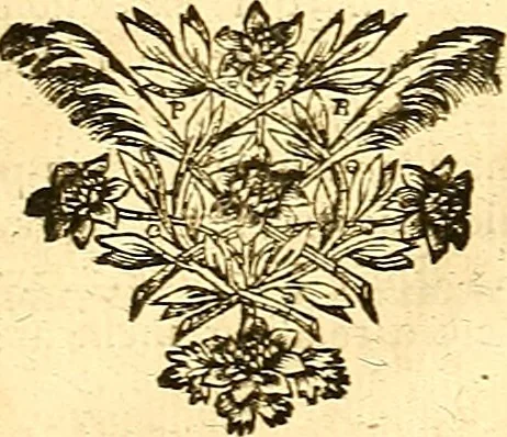An illustration from Medulla Iustinianea,, sive, Dilucida totius juris civilis, juxta Digestorum methodum explicatio, : ubi quàm brevissimè fieri potuit, accuratissimæ definitiones, plenissimæ divisiones, adæquatæ cuilibet materiæ causæ, solidissima totius juris civilis principia, cùm ex ipso juris fonte, tùm ex optimis hujus seculi authoribus summâ cum lucubratione collecta: actiones tam reales, quàm personales, cui, adversus quem, & ad quid competant, jus vetus, novum, & novissimum, addito jure canonico, feudali, & recessibus imperij, quoties à jure nostro Romano recedunt; nobilissimæ & utilissimæ in omni jure occurrentes quæstiones (si non explicitè semper, implicitè tamen h[oc]. e[st]. ut ex dictis erui & resolvi queant) omissis reliquis haud ita necessariis, ne in immensum excrescat opus, perspicuè proponuntur & resolvuntur., 1666, leaf 852