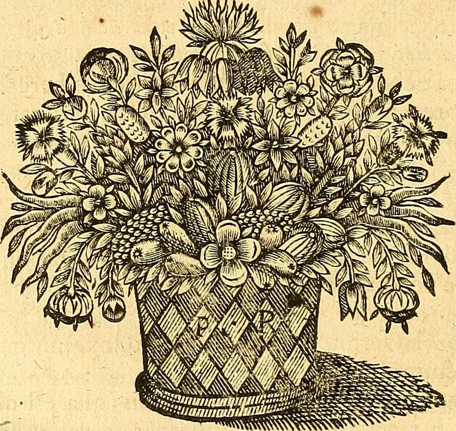 An illustration from Medulla Iustinianea,, sive, Dilucida totius juris civilis, juxta Digestorum methodum explicatio, : ubi quàm brevissimè fieri potuit, accuratissimæ definitiones, plenissimæ divisiones, adæquatæ cuilibet materiæ causæ, solidissima totius juris civilis principia, cùm ex ipso juris fonte, tùm ex optimis hujus seculi authoribus summâ cum lucubratione collecta: actiones tam reales, quàm personales, cui, adversus quem, & ad quid competant, jus vetus, novum, & novissimum, addito jure canonico, feudali, & recessibus imperij, quoties à jure nostro Romano recedunt; nobilissimæ & utilissimæ in omni jure occurrentes quæstiones (si non explicitè semper, implicitè tamen h[oc]. e[st]. ut ex dictis erui & resolvi queant) omissis reliquis haud ita necessariis, ne in immensum excrescat opus, perspicuè proponuntur & resolvuntur., 1666, leaf 871