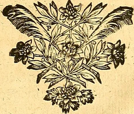 An illustration from Medulla Iustinianea,, sive, Dilucida totius juris civilis, juxta Digestorum methodum explicatio, : ubi quàm brevissimè fieri potuit, accuratissimæ definitiones, plenissimæ divisiones, adæquatæ cuilibet materiæ causæ, solidissima totius juris civilis principia, cùm ex ipso juris fonte, tùm ex optimis hujus seculi authoribus summâ cum lucubratione collecta: actiones tam reales, quàm personales, cui, adversus quem, & ad quid competant, jus vetus, novum, & novissimum, addito jure canonico, feudali, & recessibus imperij, quoties à jure nostro Romano recedunt; nobilissimæ & utilissimæ in omni jure occurrentes quæstiones (si non explicitè semper, implicitè tamen h[oc]. e[st]. ut ex dictis erui & resolvi queant) omissis reliquis haud ita necessariis, ne in immensum excrescat opus, perspicuè proponuntur & resolvuntur., 1666, leaf 964