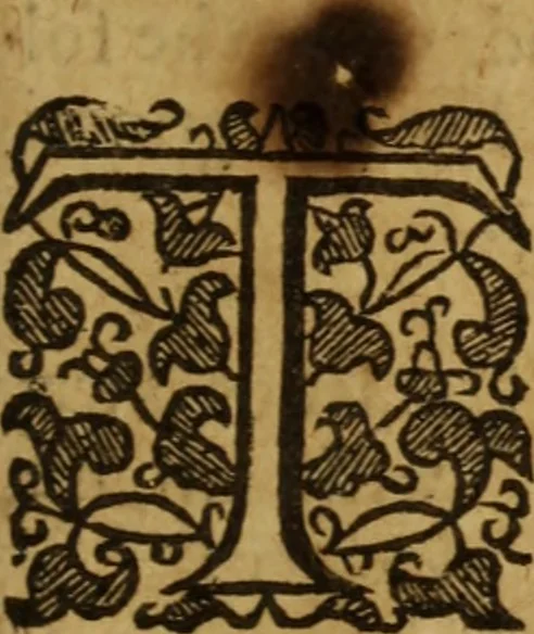 An illustration from Medulla bibliorum, the marrow of the Bible : or, a logico-theological analysis of every several book of the Holy Scripture, together with so many English poems .., 1652, leaf 22