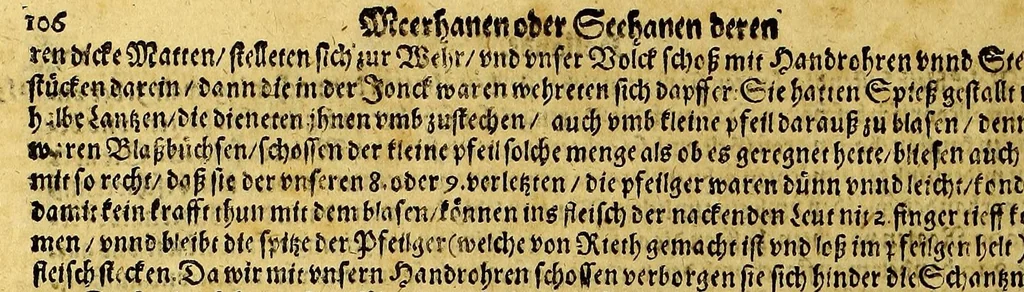 An illustration from Meer oder Seehanen Buch, : darinn verzeichnet seind, die wunderbare, gedenckwürdige Reise Vnd Schriffarhten, so recht und billich geheissen Meer Vnd Seehanen, der Königen von Hispania, Portugal, Engellandt vnd Franckreich, inwendig den letst vergangnen hundert Jahren, gettran. Auff vnd durch welche Schiffarten, ein Newe Welt gegen Nidergang, und grosse Königreichen...gegen Auffgang gelegen...entdeckt seind. ..., 1598, leaf 108