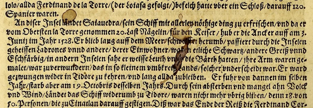 An illustration from Meer oder Seehanen Buch, : darinn verzeichnet seind, die wunderbare, gedenckwürdige Reise Vnd Schriffarhten, so recht und billich geheissen Meer Vnd Seehanen, der Königen von Hispania, Portugal, Engellandt vnd Franckreich, inwendig den letst vergangnen hundert Jahren, gettran. Auff vnd durch welche Schiffarten, ein Newe Welt gegen Nidergang, und grosse Königreichen...gegen Auffgang gelegen...entdeckt seind. ..., 1598, leaf 36