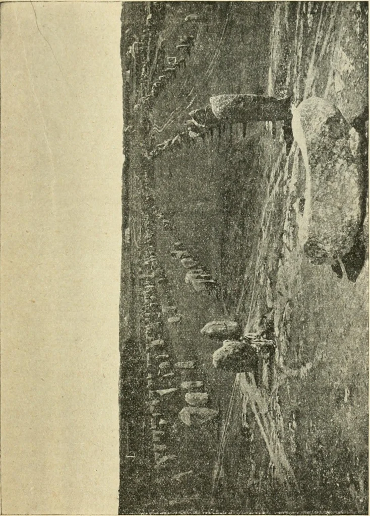 An illustration from The megalithic monuments of Carnac and Locmariaquer; their purpose and age, 1908, leaf 18