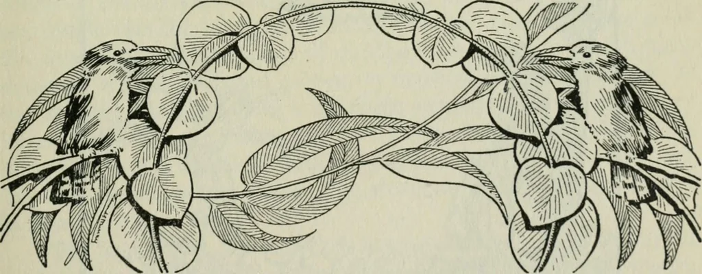 An illustration from Melba's gift book of Australian art and literature, 1915, leaf 114