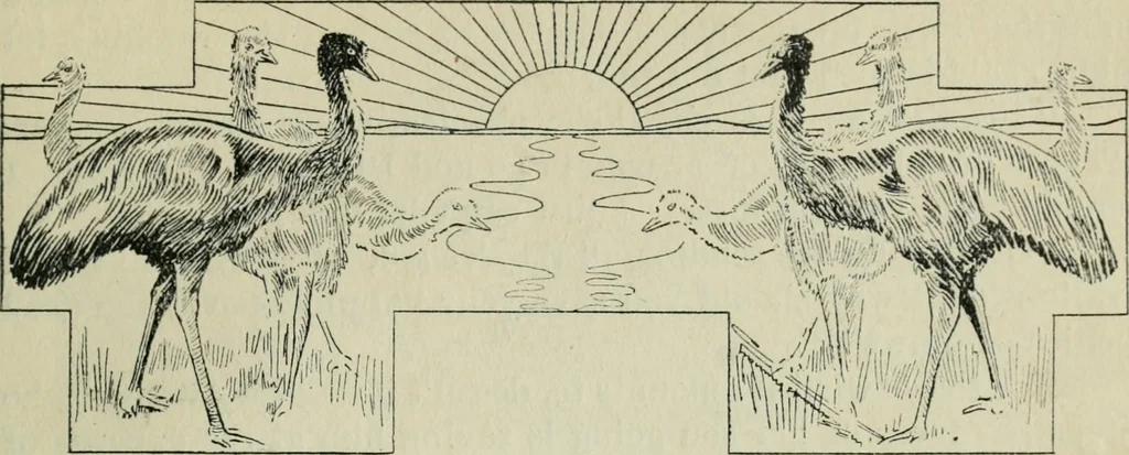 An illustration from Melba's gift book of Australian art and literature, 1915, leaf 152