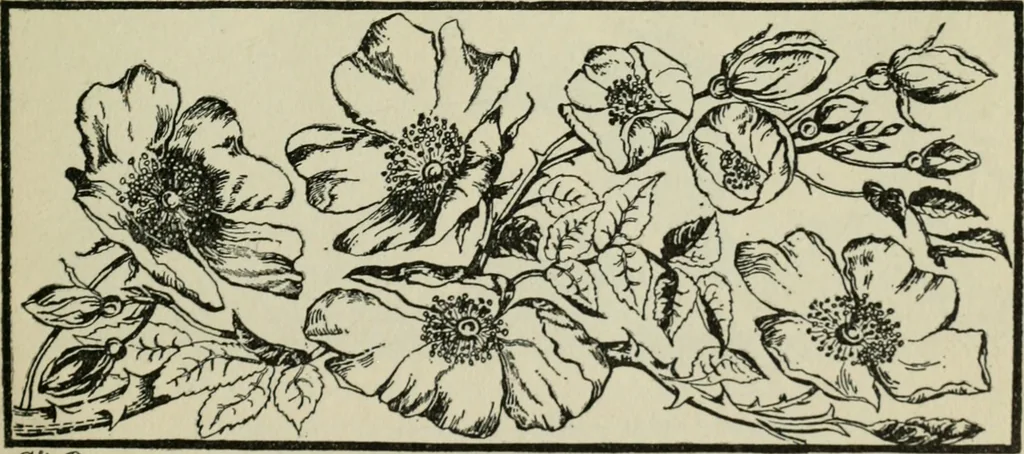 An illustration from Melba's gift book of Australian art and literature, 1915, leaf 16