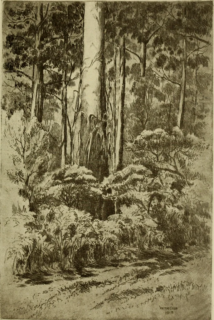 An illustration from Melba's gift book of Australian art and literature, 1915, leaf 28