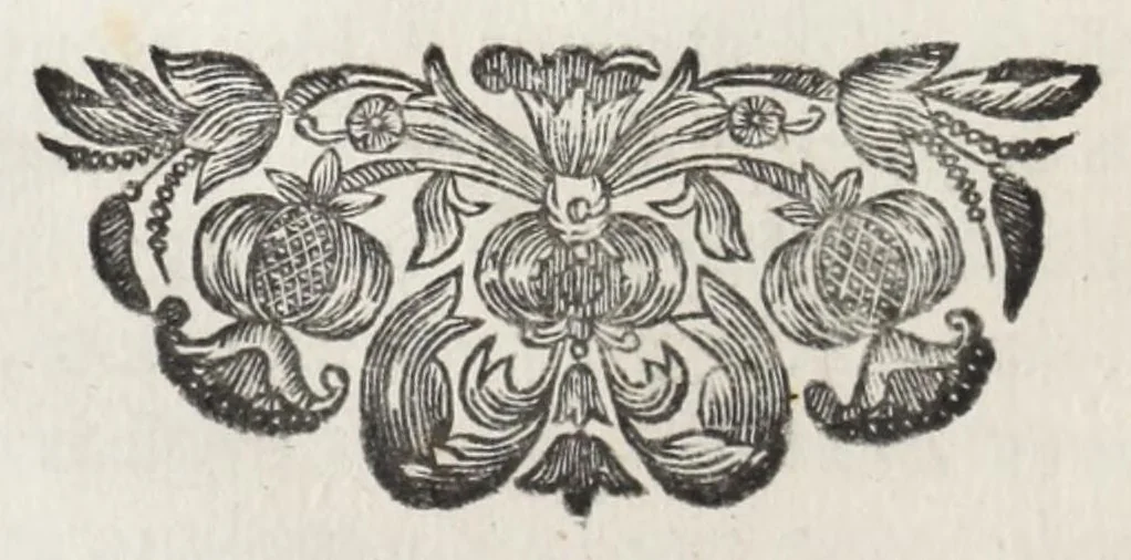 An illustration from Meleagrides et Aetolia, ex numismate Kyrieōn apud Goltzium : interspersis marmoribus quibusdam de Meleagri interitu & apri Calydonii venatione, 1696, leaf 10