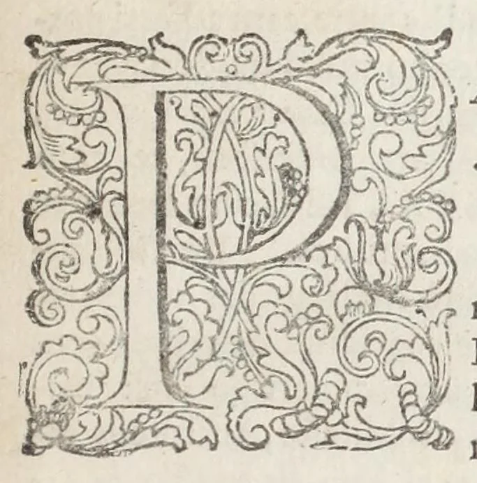 An illustration from Meleagrides et Aetolia, ex numismate Kyrieōn apud Goltzium : interspersis marmoribus quibusdam de Meleagri interitu & apri Calydonii venatione, 1696, leaf 11