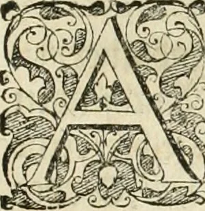 An illustration from Melitsat kai hermeneia : das ist, Onomasticvm vnd Interpretatio, oder, Aussführliche Erklerung Leonharten Thurneyssers zum Thurn ... vber etliche frembde vn[d] (bey vielen hochgelarten, die der lateinischen vnd griechischen Sprach erfahren) vnbekante Nomina, Verba, Prouerbia, Dicta, Sylben, Caracter, vnd sonst Reden, deren nicht allein in theuren Philosophi vnd Medici Aurelij, Theophrasti, Paracelsi von Hohenheim, sondern auch in anderer Authorum Schrifften hin vnd wider weitleufftig gedacht ... : das ander Theil, in welchem fast jedes Wort, mit seiner eigenen Schrifft, nach der Völcker Etymologia oder eigenen Art vnd Weis zureden beschrieben worden ist, 1583, leaf 14