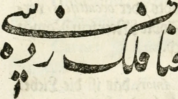 An illustration from Melitsat kai hermeneia : das ist, Onomasticvm vnd Interpretatio, oder, Aussführliche Erklerung Leonharten Thurneyssers zum Thurn ... vber etliche frembde vn[d] (bey vielen hochgelarten, die der lateinischen vnd griechischen Sprach erfahren) vnbekante Nomina, Verba, Prouerbia, Dicta, Sylben, Caracter, vnd sonst Reden, deren nicht allein in theuren Philosophi vnd Medici Aurelij, Theophrasti, Paracelsi von Hohenheim, sondern auch in anderer Authorum Schrifften hin vnd wider weitleufftig gedacht ... : das ander Theil, in welchem fast jedes Wort, mit seiner eigenen Schrifft, nach der Völcker Etymologia oder eigenen Art vnd Weis zureden beschrieben worden ist, 1583, leaf 153