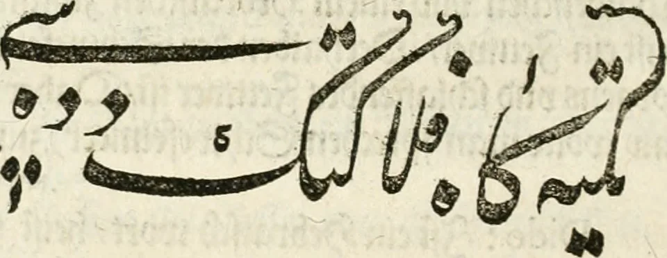 An illustration from Melitsat kai hermeneia : das ist, Onomasticvm vnd Interpretatio, oder, Aussführliche Erklerung Leonharten Thurneyssers zum Thurn ... vber etliche frembde vn[d] (bey vielen hochgelarten, die der lateinischen vnd griechischen Sprach erfahren) vnbekante Nomina, Verba, Prouerbia, Dicta, Sylben, Caracter, vnd sonst Reden, deren nicht allein in theuren Philosophi vnd Medici Aurelij, Theophrasti, Paracelsi von Hohenheim, sondern auch in anderer Authorum Schrifften hin vnd wider weitleufftig gedacht ... : das ander Theil, in welchem fast jedes Wort, mit seiner eigenen Schrifft, nach der Völcker Etymologia oder eigenen Art vnd Weis zureden beschrieben worden ist, 1583, leaf 153