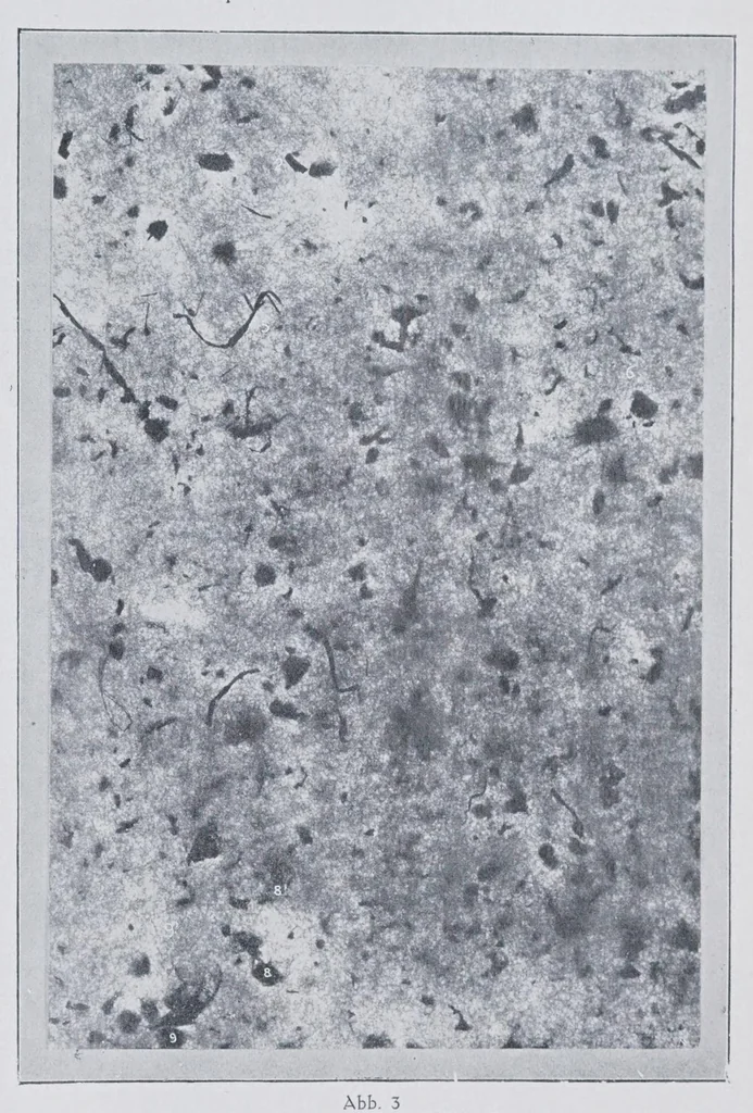 An illustration from Melliand's Textilberichte, 1923, leaf 265