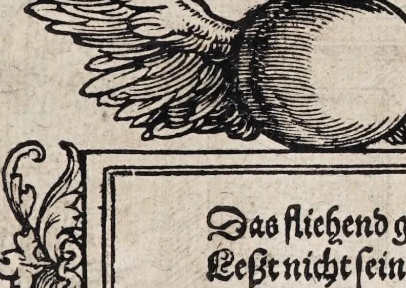 An illustration from M. Elucidarius Von allerhand Geschöpffen Gottes, den Engeln, den Himmeln, Gestirn, Planeten, vnd wie alle Creaturen geschaffen seind auff Erden : auch wie die Erdt in drey Theyl getheylet, vnnd dero Länder, sampt der Völcker darinn, Eigenschafften, vnd wunderbarlichen Thieren, auss Plinio Secundo, Solino, und andern Weltbeschreibern, ein kurtze vnd lustige Anzeigung : mit angehencktem Bauren Compassz, vor die jhenigen gestellt, so sich auff den Compassz nicht verstehen, oder denselben nicht allzeit bey sich haben, die Stundt dess Tages in der Handt durch den Strohalmen zu lehrnen, 1584, leaf 105