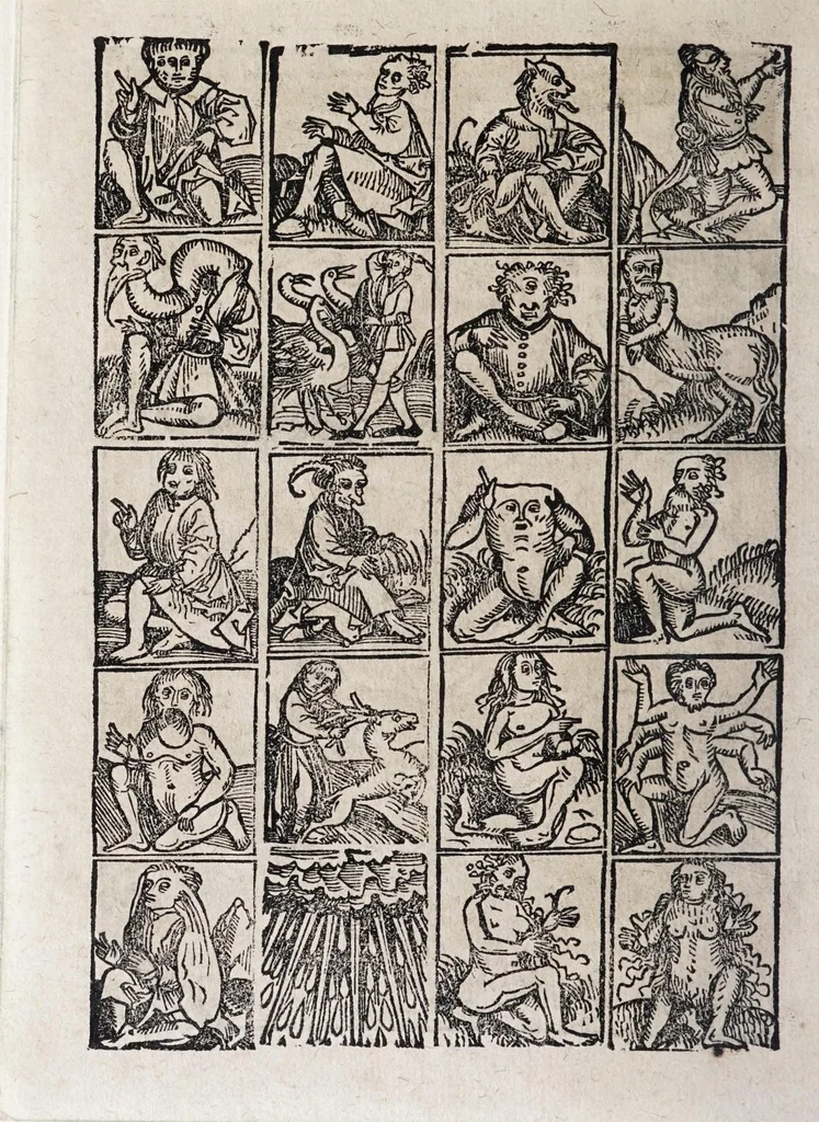 An illustration from M. Elucidarius Von allerhand Geschöpffen Gottes, den Engeln, den Himmeln, Gestirn, Planeten, vnd wie alle Creaturen geschaffen seind auff Erden : auch wie die Erdt in drey Theyl getheylet, vnnd dero Länder, sampt der Völcker darinn, Eigenschafften, vnd wunderbarlichen Thieren, auss Plinio Secundo, Solino, und andern Weltbeschreibern, ein kurtze vnd lustige Anzeigung : mit angehencktem Bauren Compassz, vor die jhenigen gestellt, so sich auff den Compassz nicht verstehen, oder denselben nicht allzeit bey sich haben, die Stundt dess Tages in der Handt durch den Strohalmen zu lehrnen, 1584, leaf 12