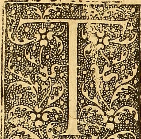 An illustration from Melvsine, 1610, leaf 19