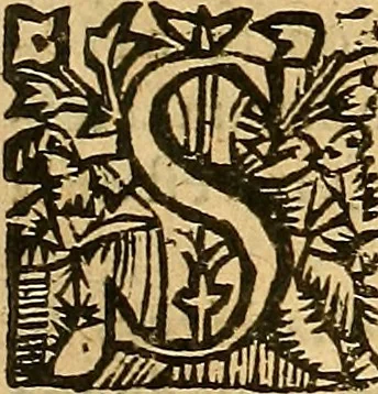An illustration from Melvsine, 1610, leaf 42