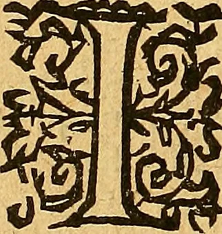 An illustration from Melvsine, 1610, leaf 5