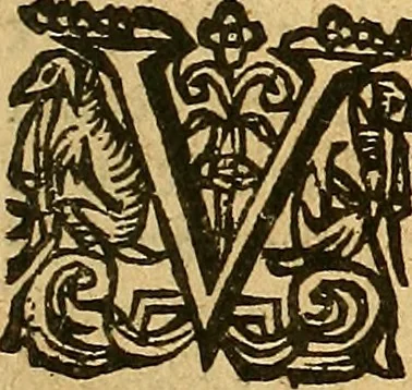 An illustration from Melvsine, 1610, leaf 54