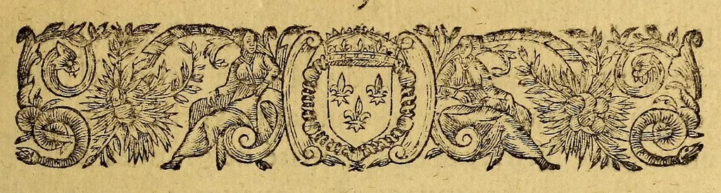 An illustration from Memoire pour servir de breve instruction, tant aux directeurs & commissionnaires provinciaux de la grande Compagnie de l'Amerique, qu'à ceux qui s'y voudront interesser, ou passer dans le païs, 1653, leaf 9