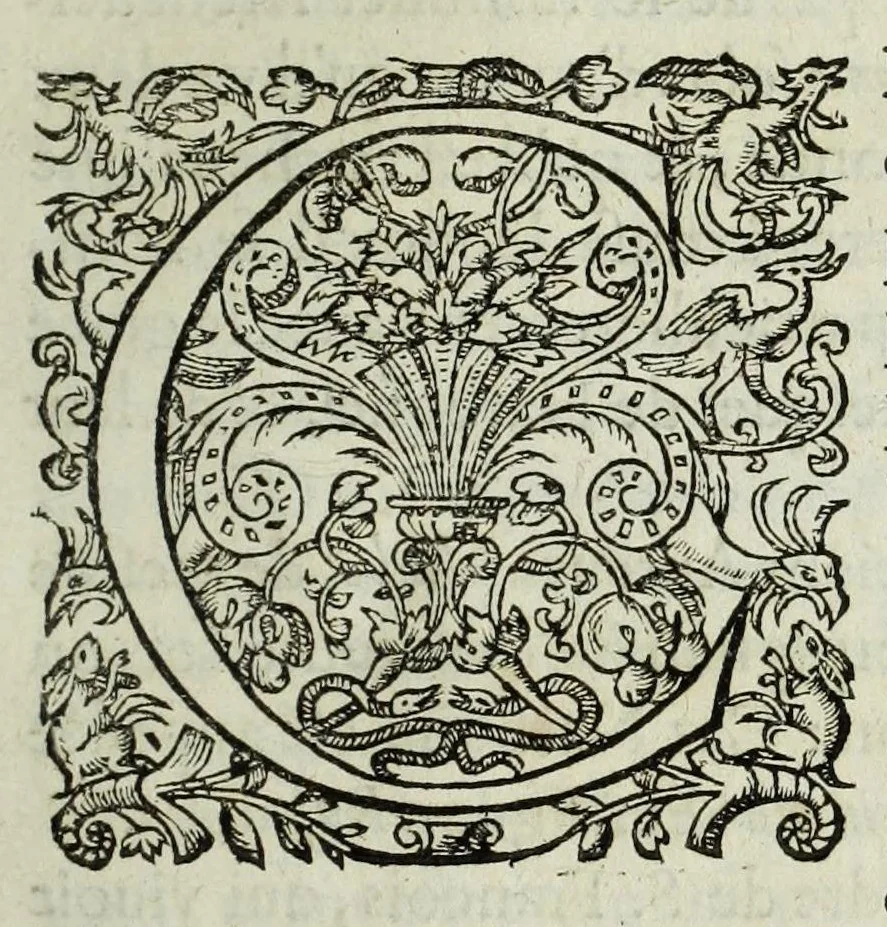 An illustration from Memoires de l'histoire du Languedoc, curieusement et fidelement recueillis de diuers autheurs grecs, latins, françois & espagnols; & de plusieurs titres & chartes tirés des archifs des villes & communautez de la mesme prouince, et autres circonuoisines, 1633, leaf 101