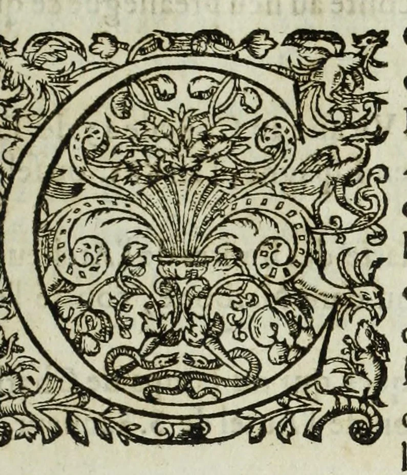 An illustration from Memoires de l'histoire du Languedoc, curieusement et fidelement recueillis de diuers autheurs grecs, latins, françois & espagnols; & de plusieurs titres & chartes tirés des archifs des villes & communautez de la mesme prouince, et autres circonuoisines, 1633, leaf 1027