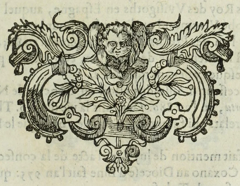 An illustration from Memoires de l'histoire du Languedoc, curieusement et fidelement recueillis de diuers autheurs grecs, latins, françois & espagnols; & de plusieurs titres & chartes tirés des archifs des villes & communautez de la mesme prouince, et autres circonuoisines, 1633, leaf 1029