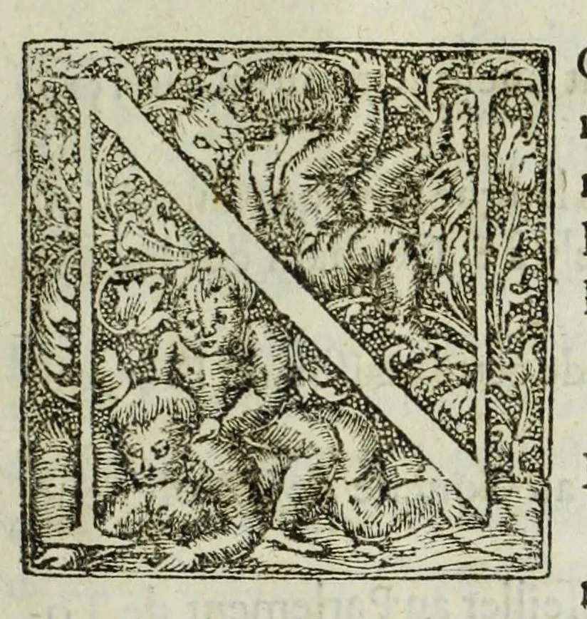 An illustration from Memoires de l'histoire du Languedoc, curieusement et fidelement recueillis de diuers autheurs grecs, latins, françois & espagnols; & de plusieurs titres & chartes tirés des archifs des villes & communautez de la mesme prouince, et autres circonuoisines, 1633, leaf 1057