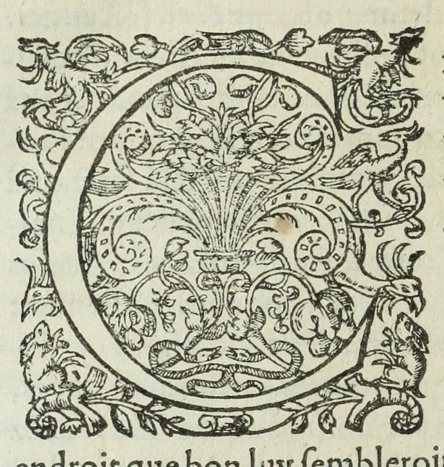 An illustration from Memoires de l'histoire du Languedoc, curieusement et fidelement recueillis de diuers autheurs grecs, latins, françois & espagnols; & de plusieurs titres & chartes tirés des archifs des villes & communautez de la mesme prouince, et autres circonuoisines, 1633, leaf 750