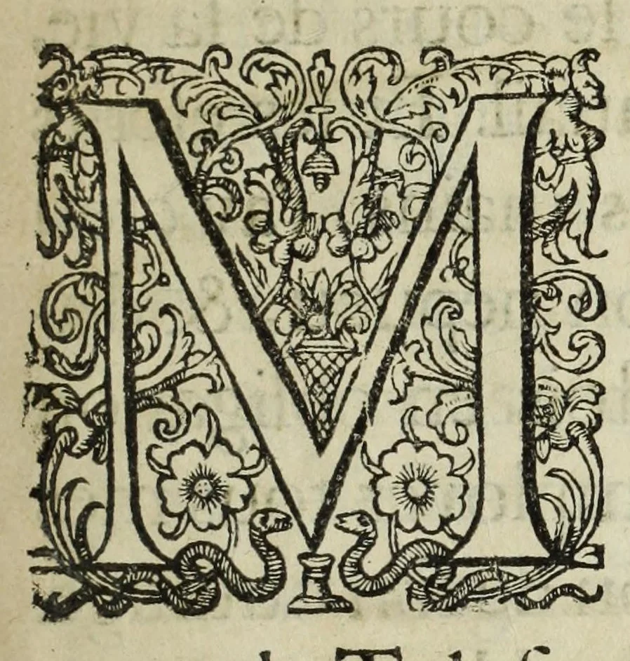An illustration from Memoires de l'histoire du Languedoc, curieusement et fidelement recueillis de diuers autheurs grecs, latins, françois & espagnols; & de plusieurs titres & chartes tirés des archifs des villes & communautez de la mesme prouince, et autres circonuoisines, 1633, leaf 9