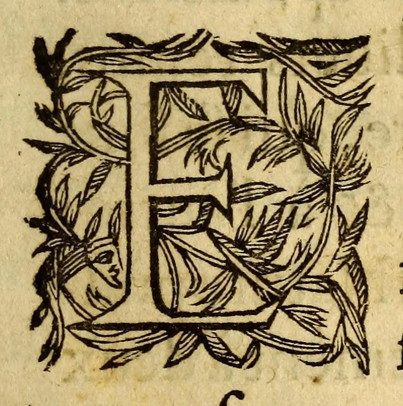 An illustration from Memoires de plusieurs choses considerables auvenuës en France. : Auec quelque recit touchant les affaires des pays voisins, depuis le commencement de l'année 1607. Où finit l'histoire de Iacques Auguste de Thou, 1634, leaf 17