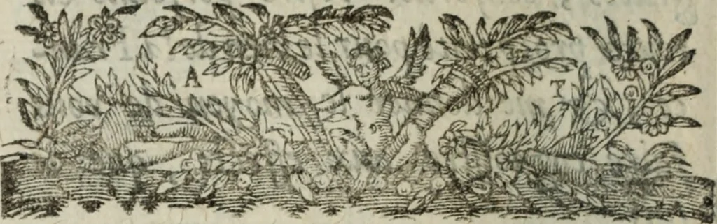 An illustration from Memoires d'estat, 1622, leaf 13
