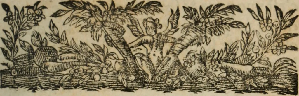 An illustration from Memoires d'estat, 1622, leaf 22