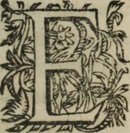 An illustration from Memoires d'estat, 1622, leaf 28