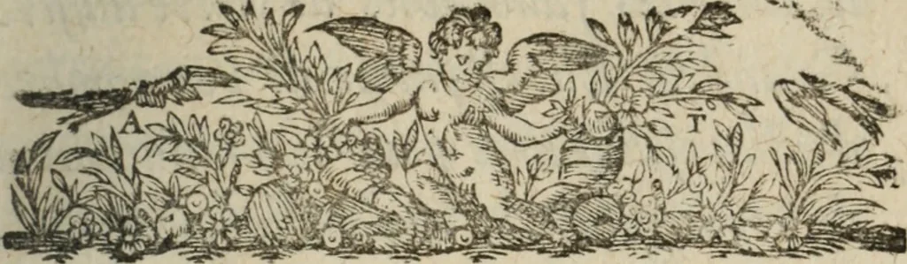 An illustration from Memoires d'estat, 1622, leaf 8