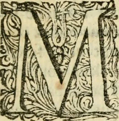 An illustration from Memoires et instructions pour les ambassadeurs, ou, Lettres et negotiations de Walsingham ... : avec les maximes politiques de ce ministre, & des remarques sur la vie des principaux ministres & favoris de cette princesse, 1700, leaf 16