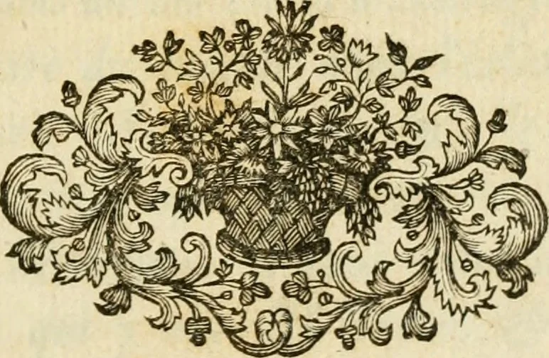 An illustration from Memoires et instructions pour les ambassadeurs, ou, Lettres et negotiations de Walsingham ... : avec les maximes politiques de ce ministre, & des remarques sur la vie des principaux ministres & favoris de cette princesse, 1700, leaf 4